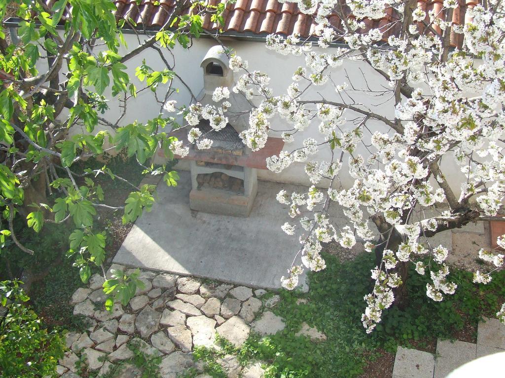 Villa Dalmatia Zadar Eksteriør billede