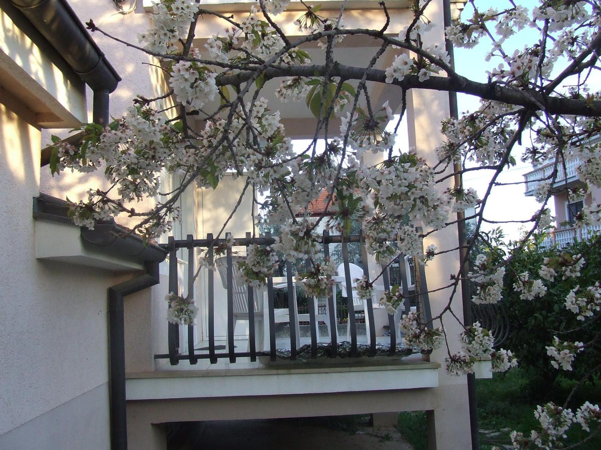 Villa Dalmatia Zadar Værelse billede